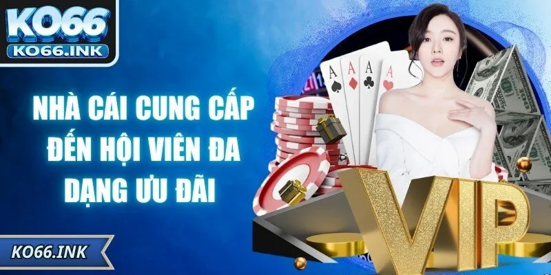 Nhà cái cung cấp đến hội viên đa dạng ưu đãi độc quyền